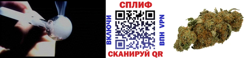Шишки марихуана гибрид  Мураши 